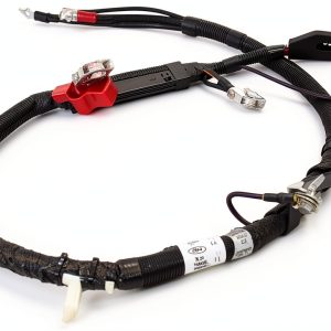 Motorcraft Auto Starter Battery Cable-0