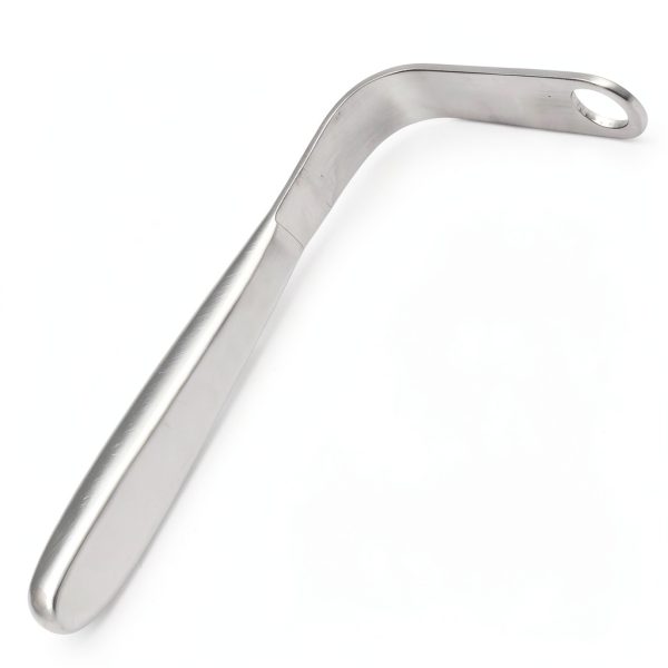 Tongue Depressor Stainless Steel by G.S ONLINE STORE for Education-0